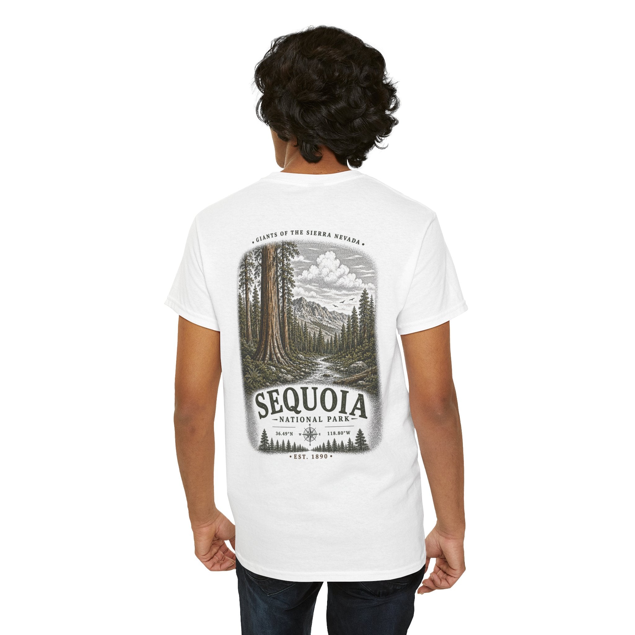Sequoia National Park Scenic Giant