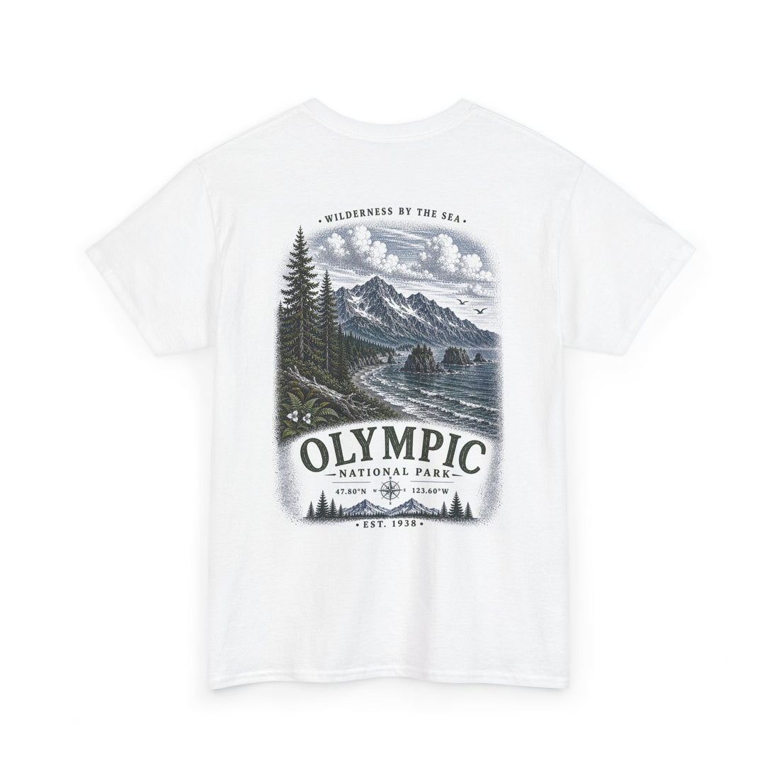 Olympic National Park Scenic Mou