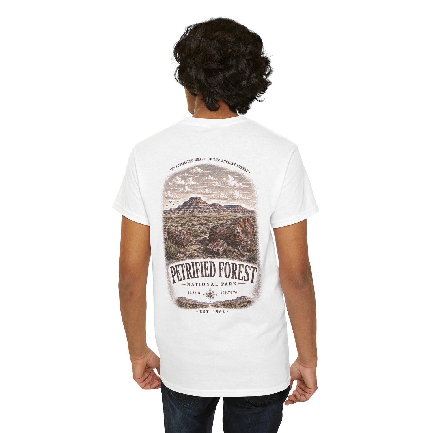Petrified Forest National