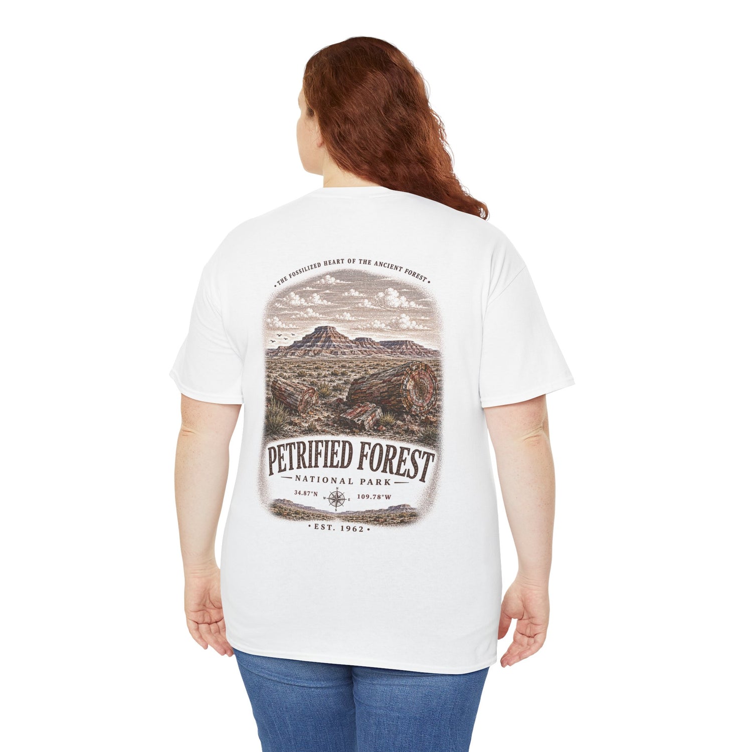 Petrified Forest National
