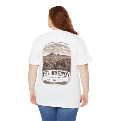 Petrified Forest National