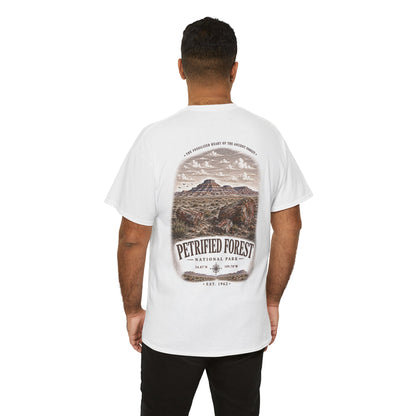 Petrified Forest National