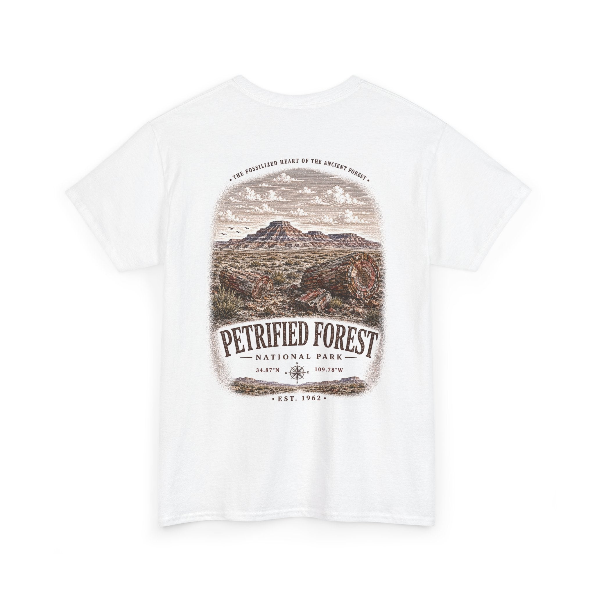 Petrified Forest National