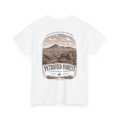 Petrified Forest National