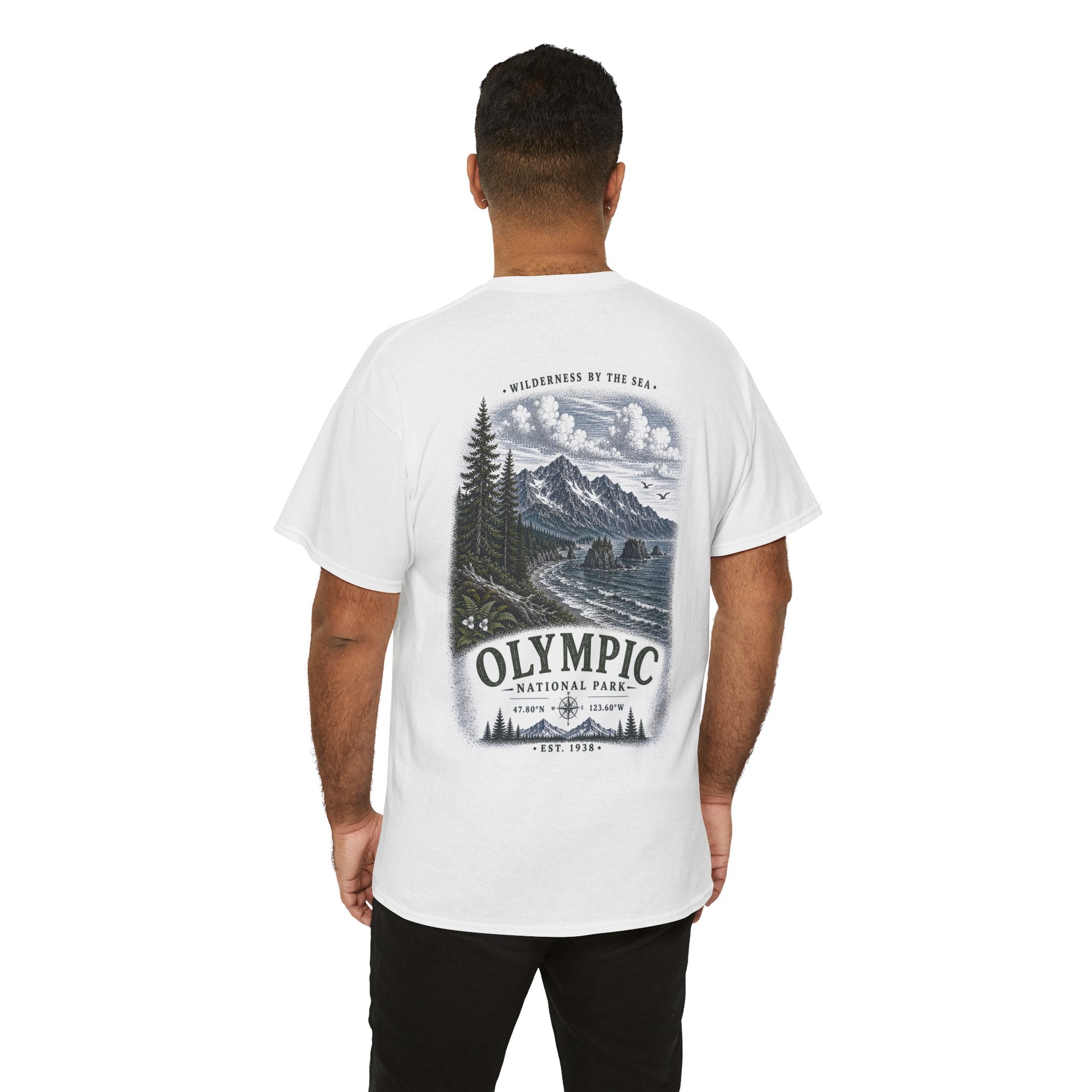 Olympic National Park Scenic Mou