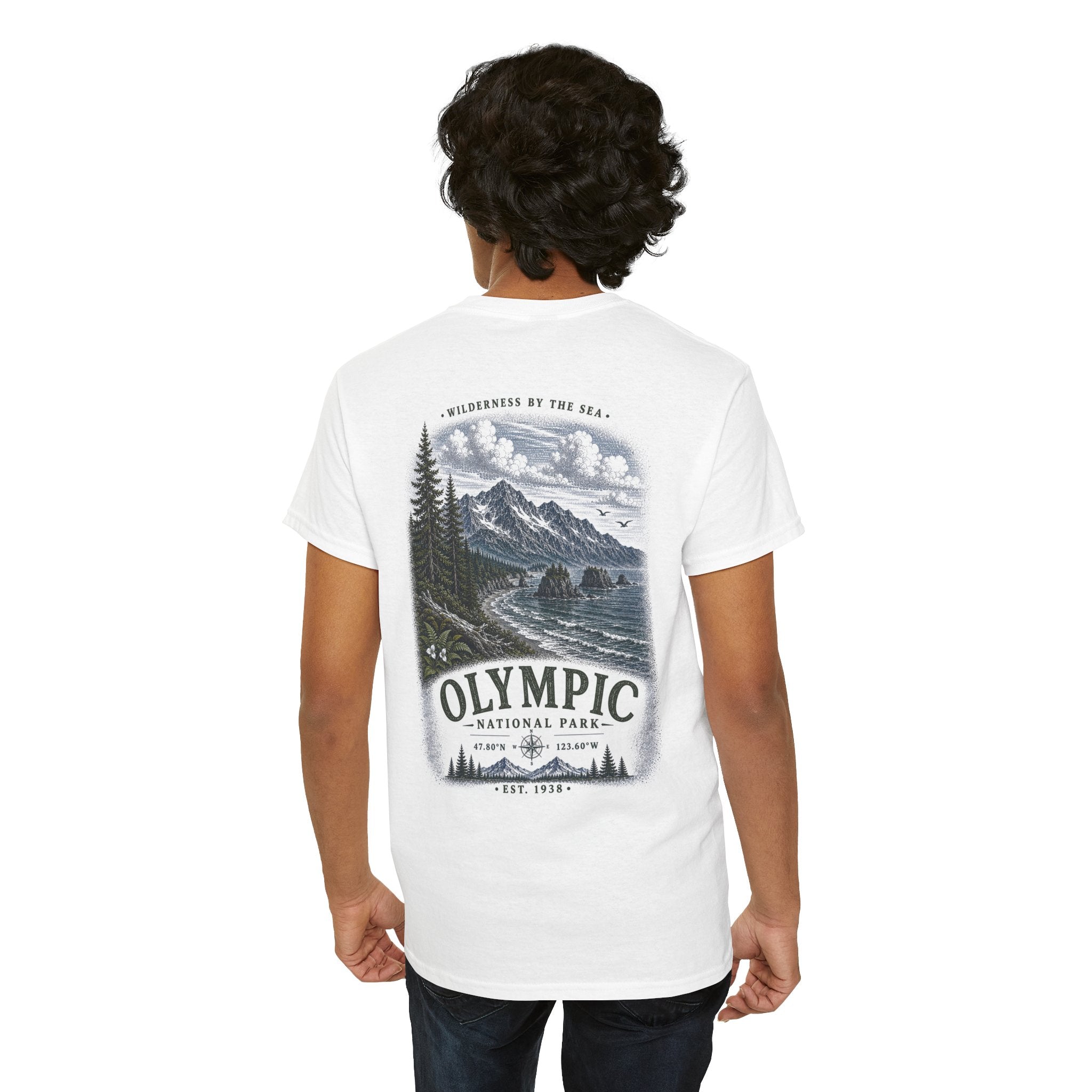 Olympic National Park Scenic Mou