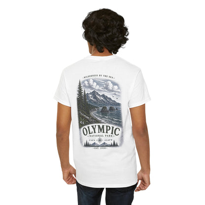 Olympic National Park Scenic Mou