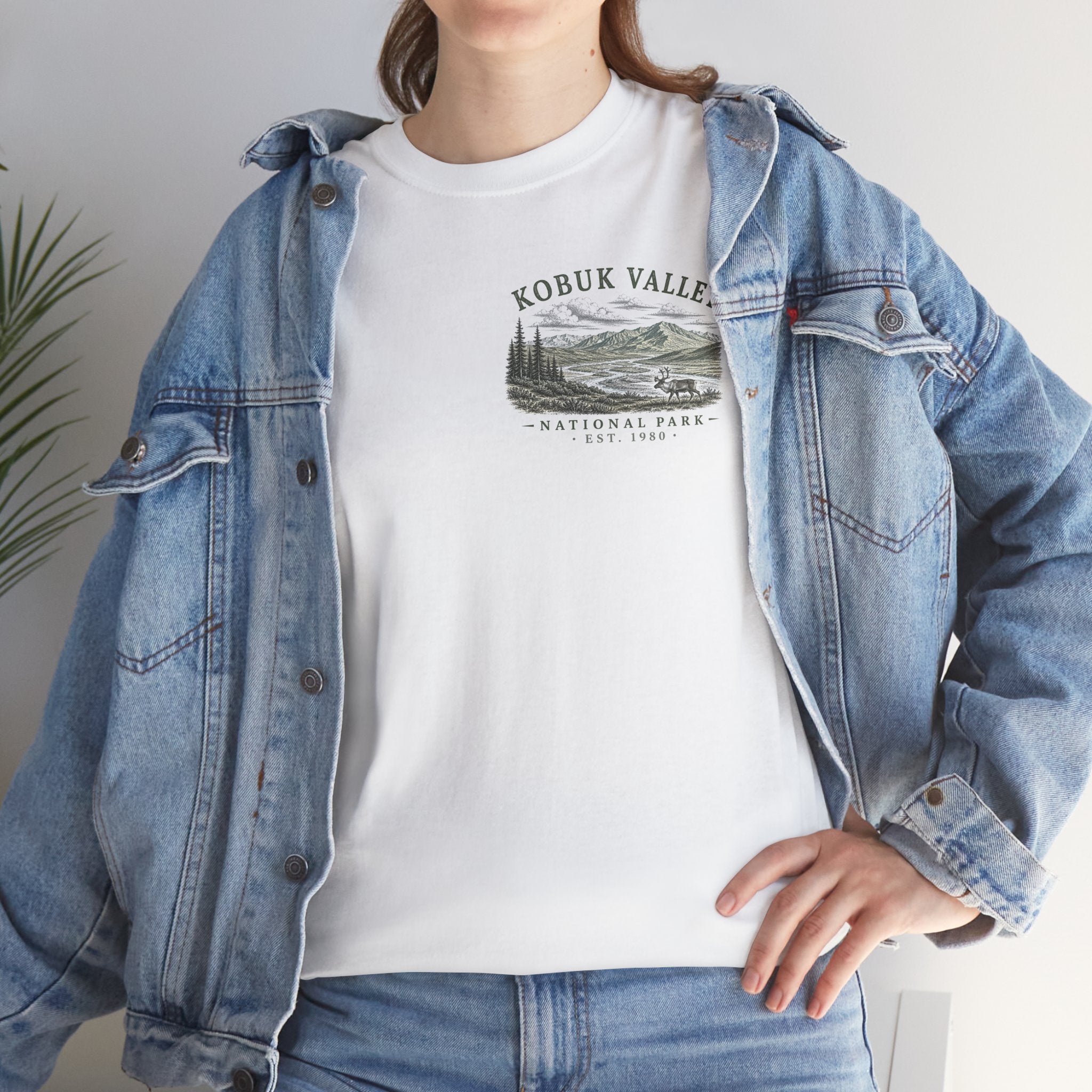 Kobuk Valley National 